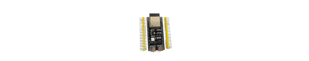 Microcontroller